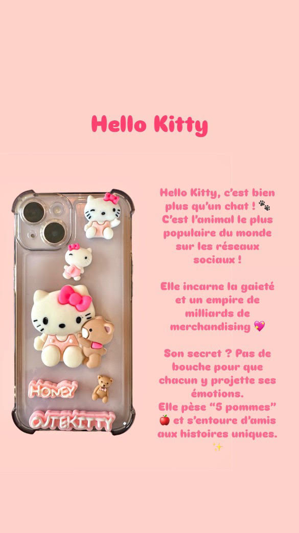 LOT DE CHARMS SANRIO