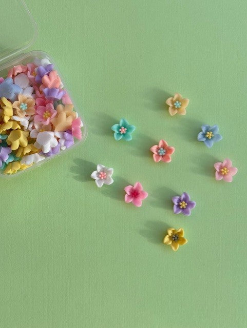 KIT BROSSE A CHEVEUX DECODEN